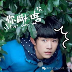 说好了更新动态图加上表情包,接住