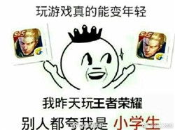 王者荣耀一键禁玩表情包系列无水印王者荣耀一键禁玩恶搞表情包下载乐游网游戏下载