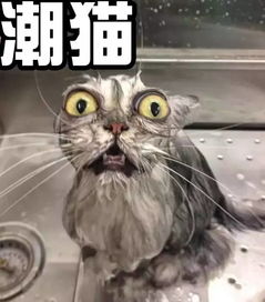 回南天东莞人最怕的天气真的来了,内裤和除湿妙招都准备好了吗