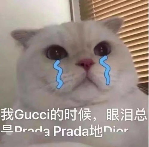 年度账单我怎么这么有钱