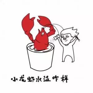沉迷敲代码表情包小龙虾