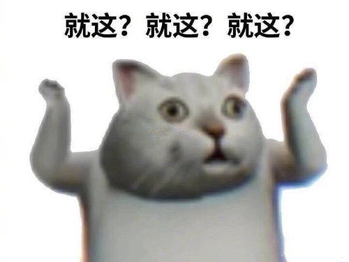 网红鸭子表情包动图抖音