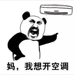 坏消息是天气又来搞事情了好消息是假期没有泡汤