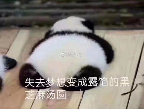 怎么让自己喜欢上动脑筋,调整好心态,成为会思考的人