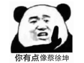 比鸡你太美还要搞笑游戏中那些被听错的台词,网友笑趴了