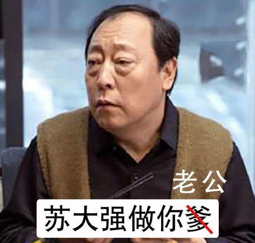选老公,我选苏大强