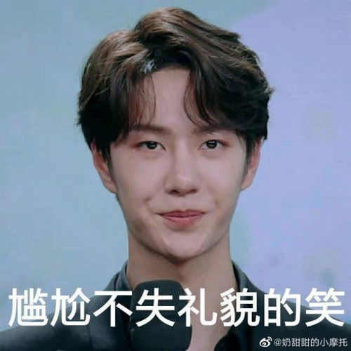 猫叫表情包王一博