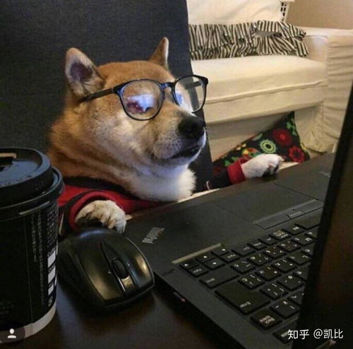 狗头人系列表情包微博