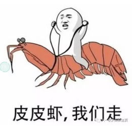 农大流行语,你都知道哪些
