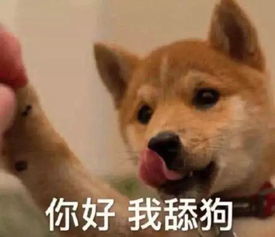泪奔设计师才懂的痛,笑着笑着我哭了