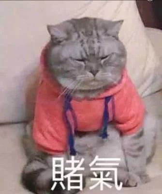 说啥大实话表情包猫咪