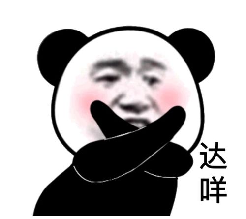 笑不活了炒饭这么简单的事儿,外国人居然能搞成这样