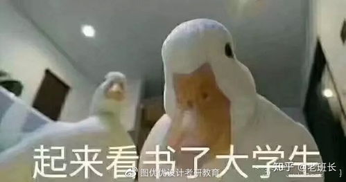 图优优理论大讲堂yo理说世界现代设计史第二版第六章课后习题来袭
