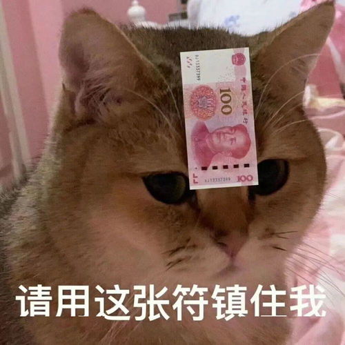 2020年暴富关键这个新兴行业有多吃香