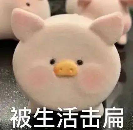 糊弄学大师菌菌的独家宝典