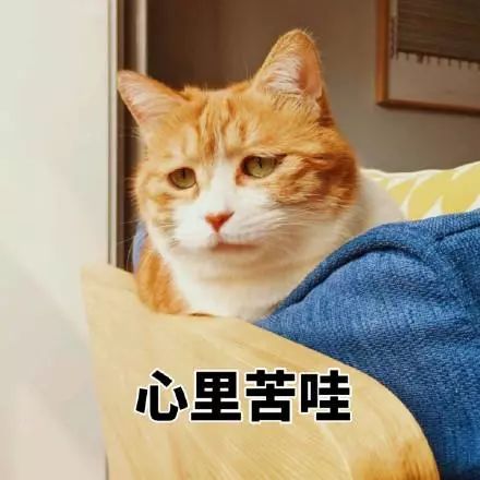 复古式追剧成流行的今天,全网都在喊话沈佳宜陆振华