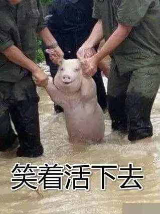 这是一段,消防员和猪的故事腾讯新闻