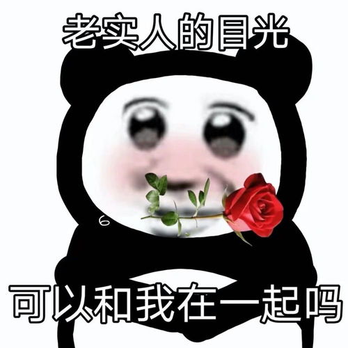 沙雕熊猫表情包处对象加