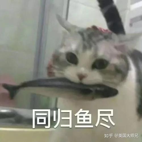如何看待日渐风靡的锦鲤现象