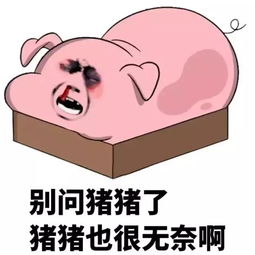 猪肉涨涨涨驻马店菜价猛涨的真正原因是...