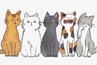 猫咪素材图片免费下载高清卡通手绘png千库网图片编号3646823
