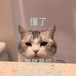 今日表情推荐,109