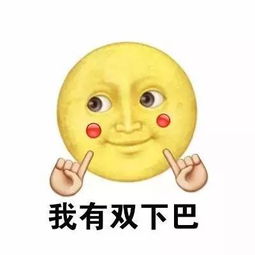 表情包丨可能这就是命吧