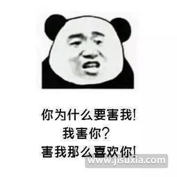 暴漫熊猫人表情包绕路