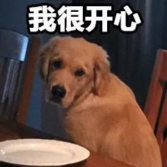 网盾科技520特辑有一个idc运维工程师的女朋友是什么体验