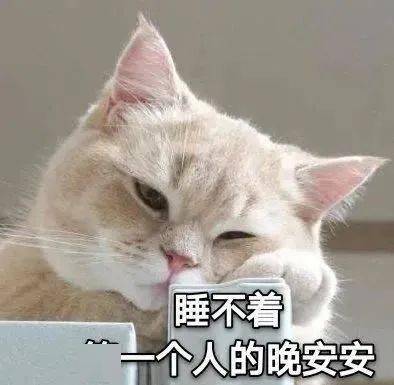 聊天日常表情包人家不要奶茶,要啵啵