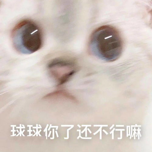 表情包图片快删除,脑子里有画面了