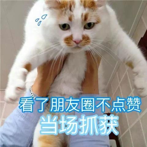 发朋友圈厌恶表情包