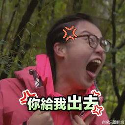 越野千里花季洪荒少女傅园慧oo深夜难眠,冻龄荒野男神贝爷beargrylls