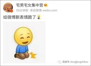 微博表情包继不抽烟后,又给跪了目测这个表情包要火