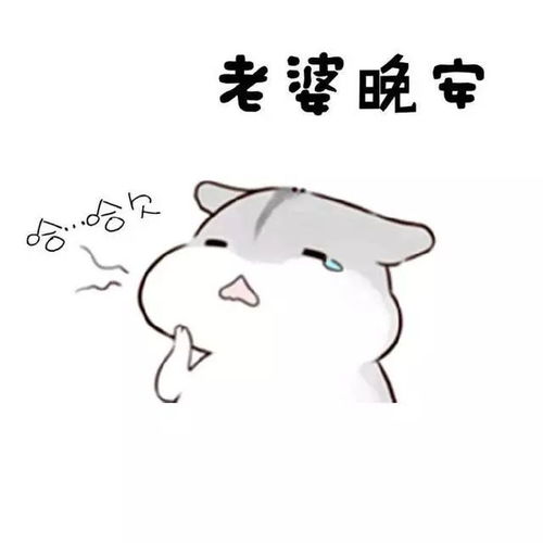 发给老婆的表情包老婆你说什么都是对的
