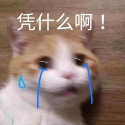 斗图表情包合集我可以包养你吗