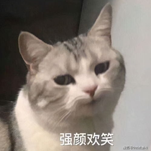 玩玩游戏还能被涨知识这就是我们的第九艺术形式