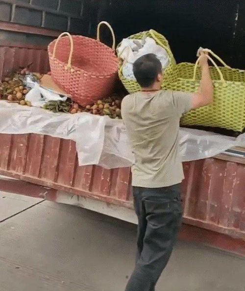南宁吃货妹子为买荔枝,追老板15公里买20斤结果