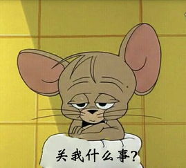 少侠,你爱吃香菜吗