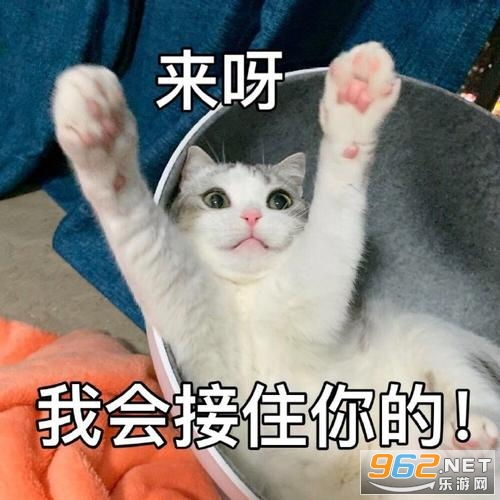 我来啦接住表情包对应我来啦接住表情包一套下载汉化版乐游网游戏下载
