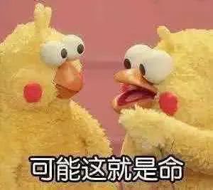 微信零钱表情包过年