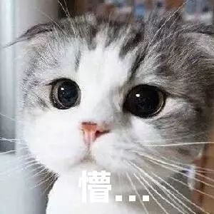 习俗广东结婚礼金排行榜出炉潮汕人....