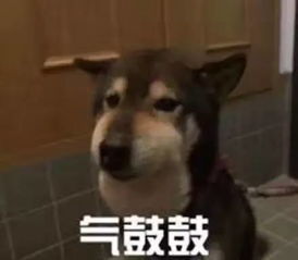 lol限定皮肤免费送,竟有这等好事,这波真的很赚