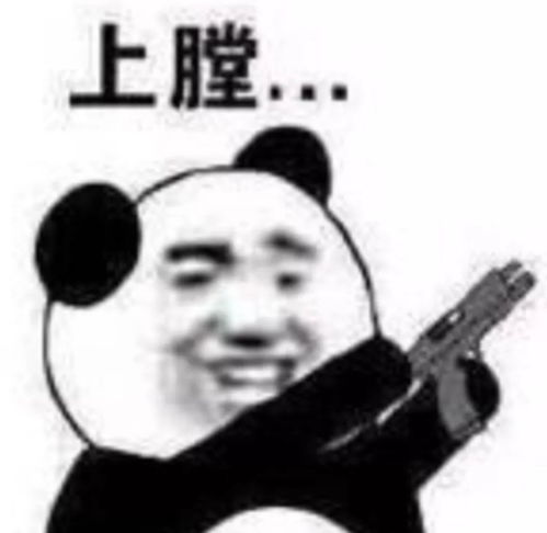 生活斗图表情包表情