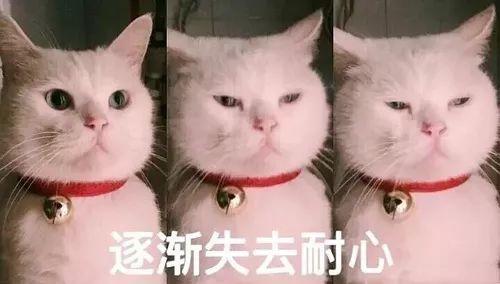 每日搞笑忍住不哭,让人开心的沙雕语句