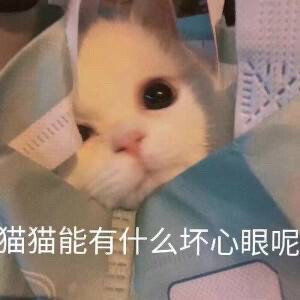 跟我妹视频,我妹说叫我遇到邓伦的时候,帮他拿个...