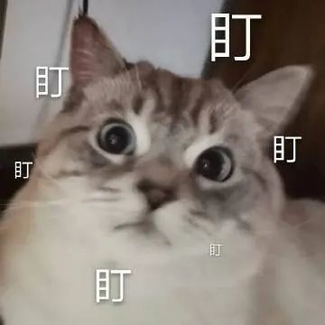 表情包小可爱来了