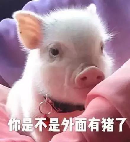 微信新功能闺蜜自拍太美你可以po她的素颜照