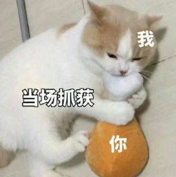 超搞笑的表情无话可说的我,倒吸一口凉皮