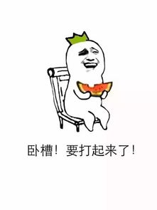 都别吵了,听我一句劝,打一架吧